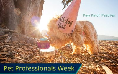 Paw Patch Pastries makes your pups Barkday special!