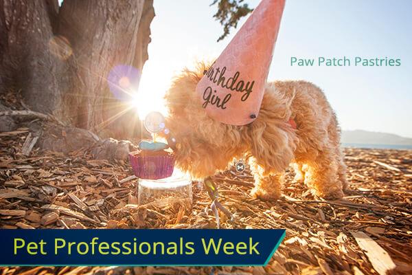 Paw Patch Pastries makes your pups Barkday special!
