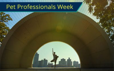 Pet Professionals Week  – San Francisco Pet Professionals