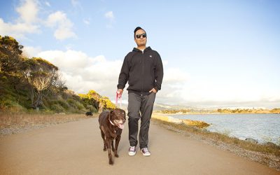 San Francisco Dog Walking Etiquette