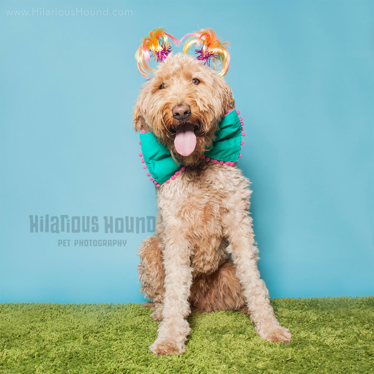 happy doodle wearing an bow-tie and funky headband