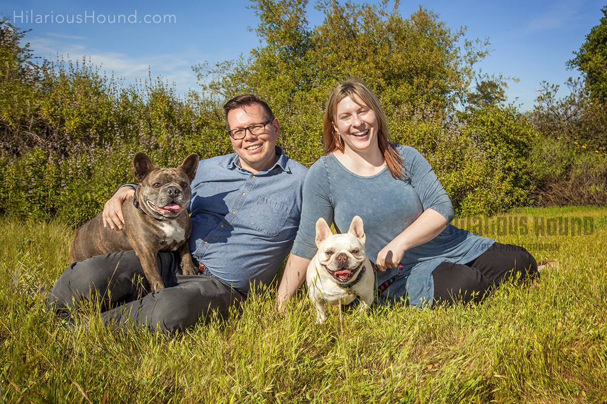 dogs crissy field pet photography san francisco bay area family