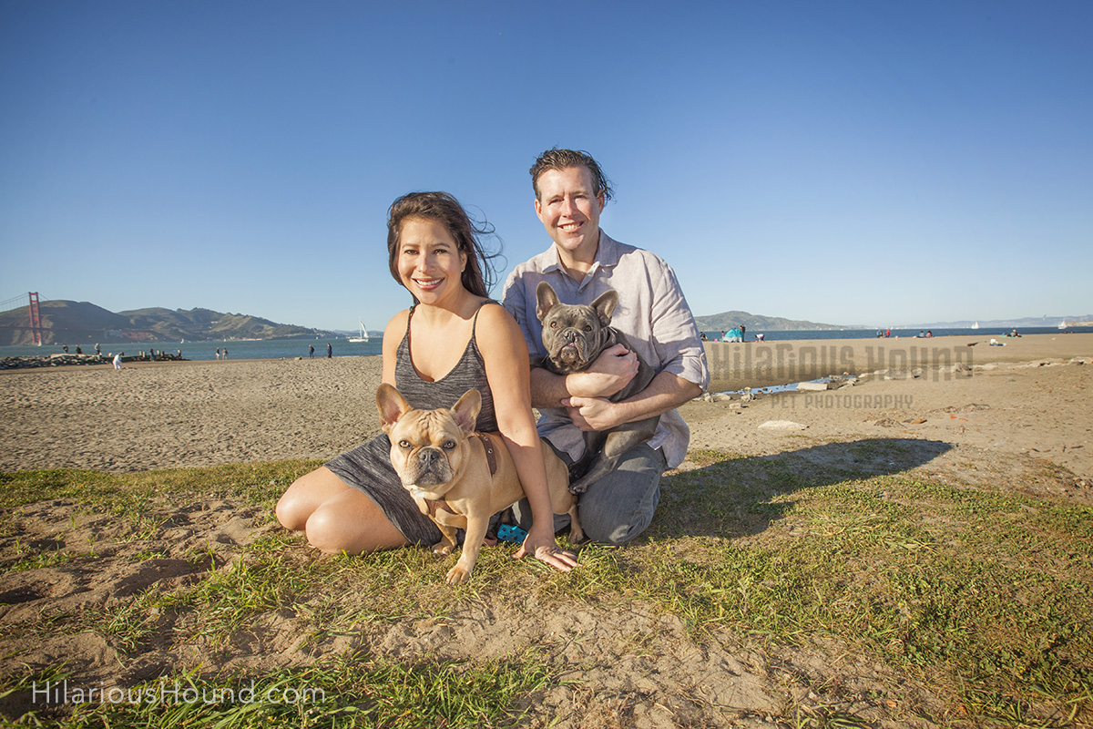 dogs crissy field pet photography san francisco bay area
