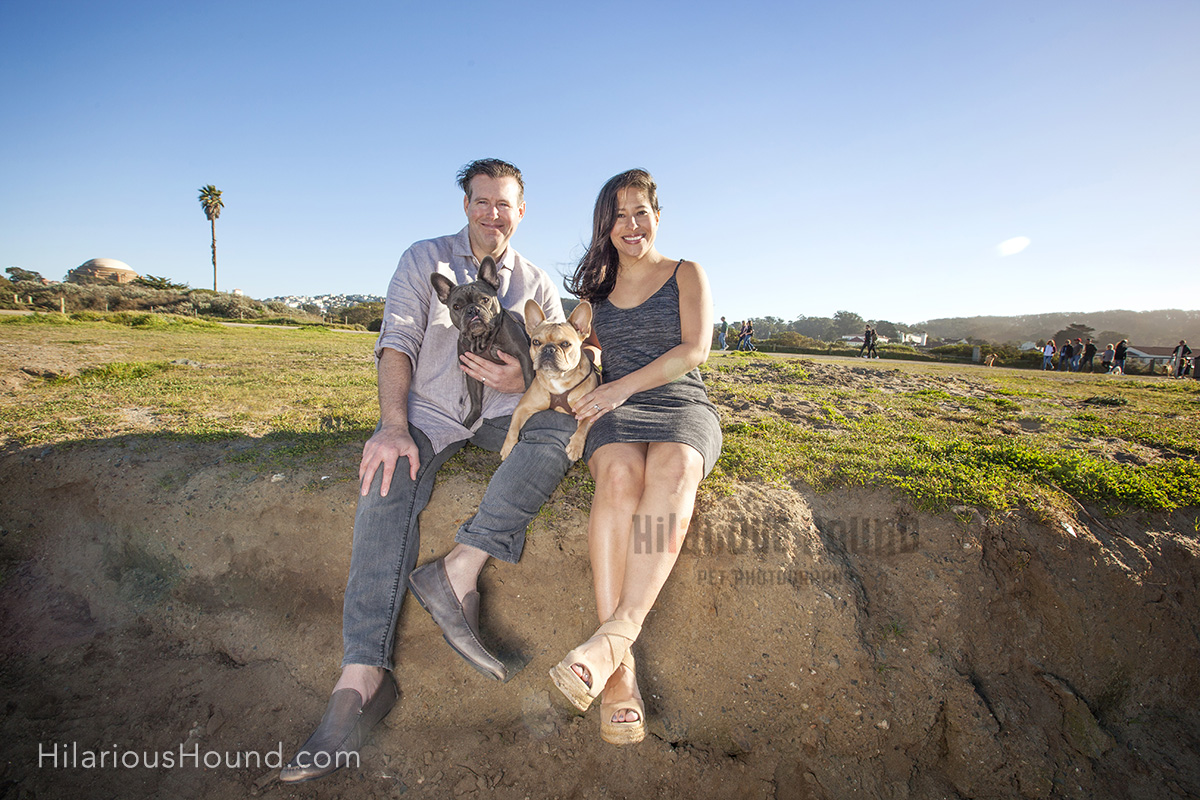 dogs crissy field pet photography san francisco bay area