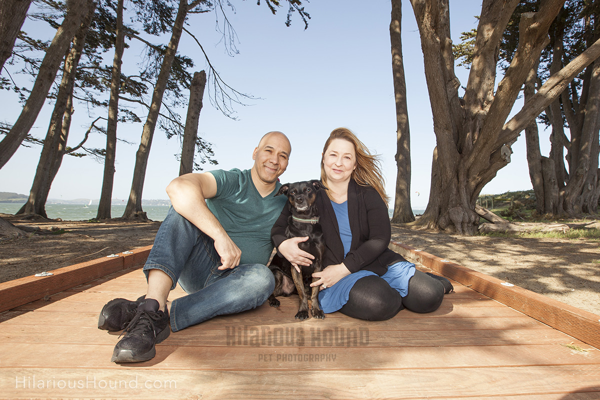 dog crissy field pet photography san francisco bay area family