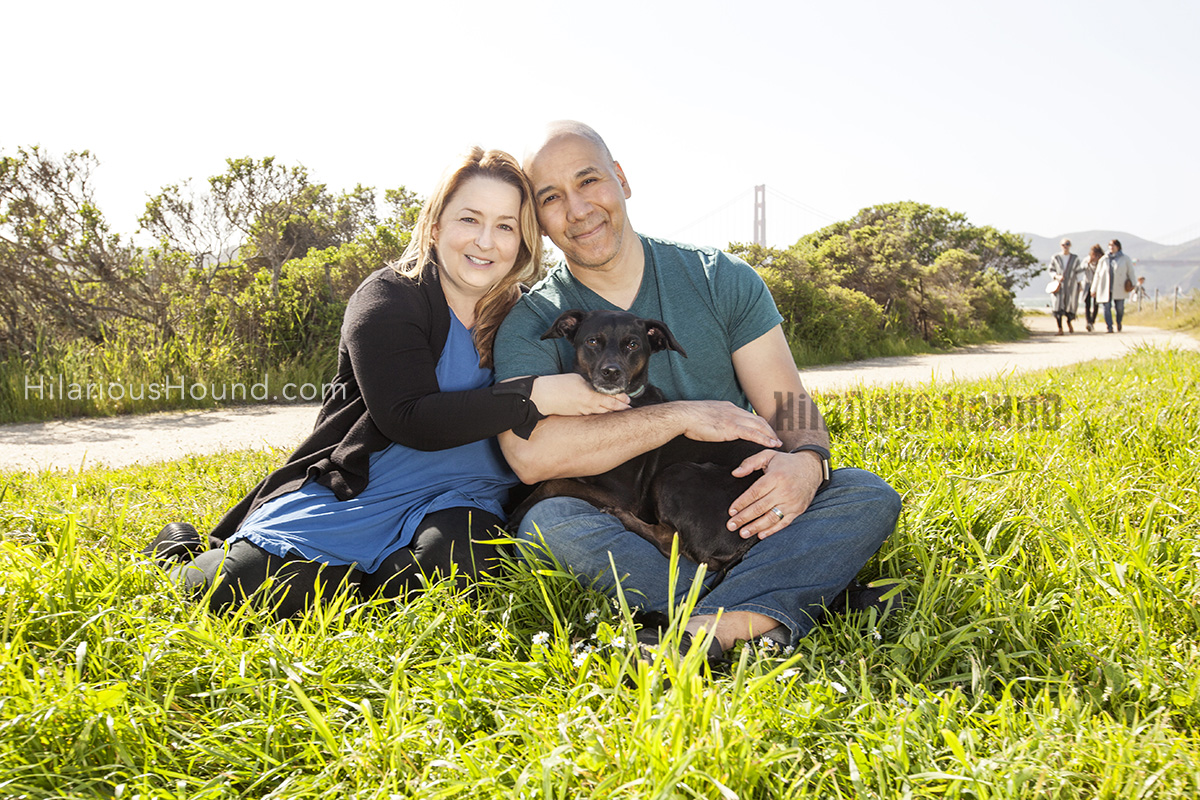 dog crissy field pet photography san francisco bay area family