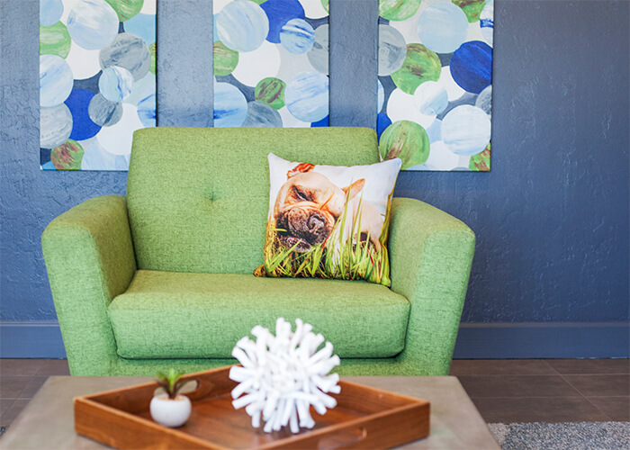 Decorative dog pillow by Hilarious Hound Pet Photography