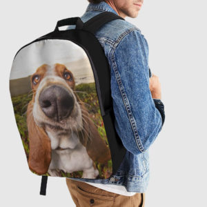 must have dog backpack shop hilarious hound pet photos