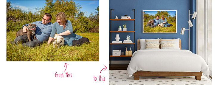 turn dog portraits into wall art with hilarious hound pet photography