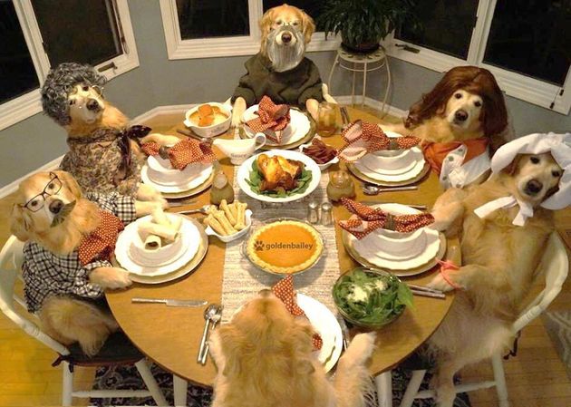 Are those Thanksgiving leftovers safe for your dog?