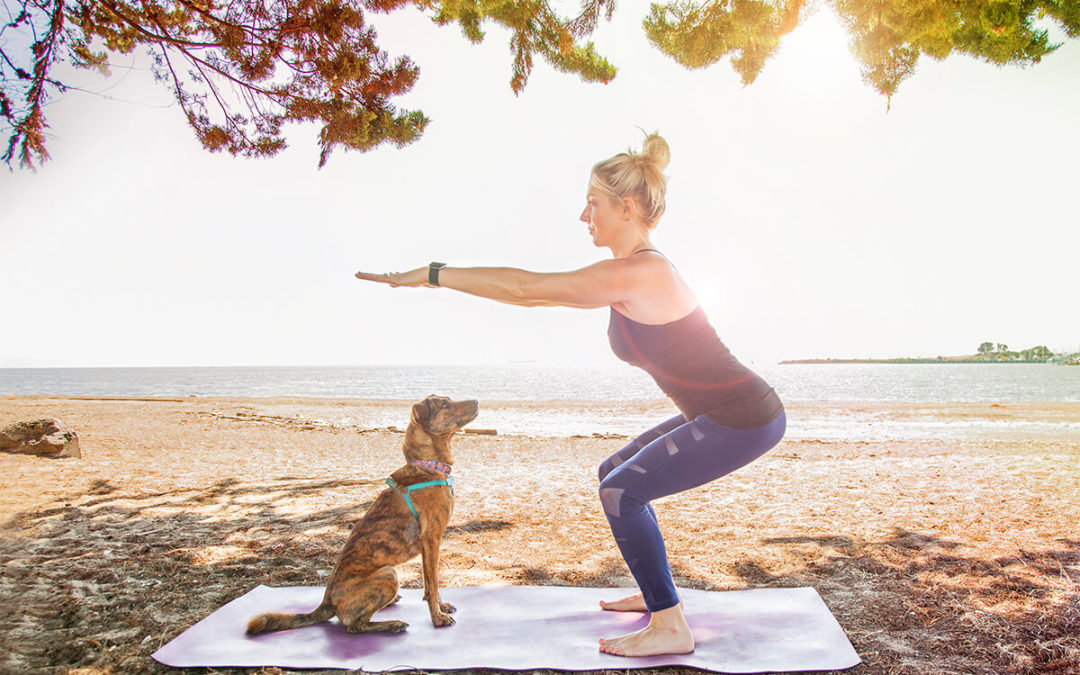 Fitness with your dog bay area pet photography hilarious hound