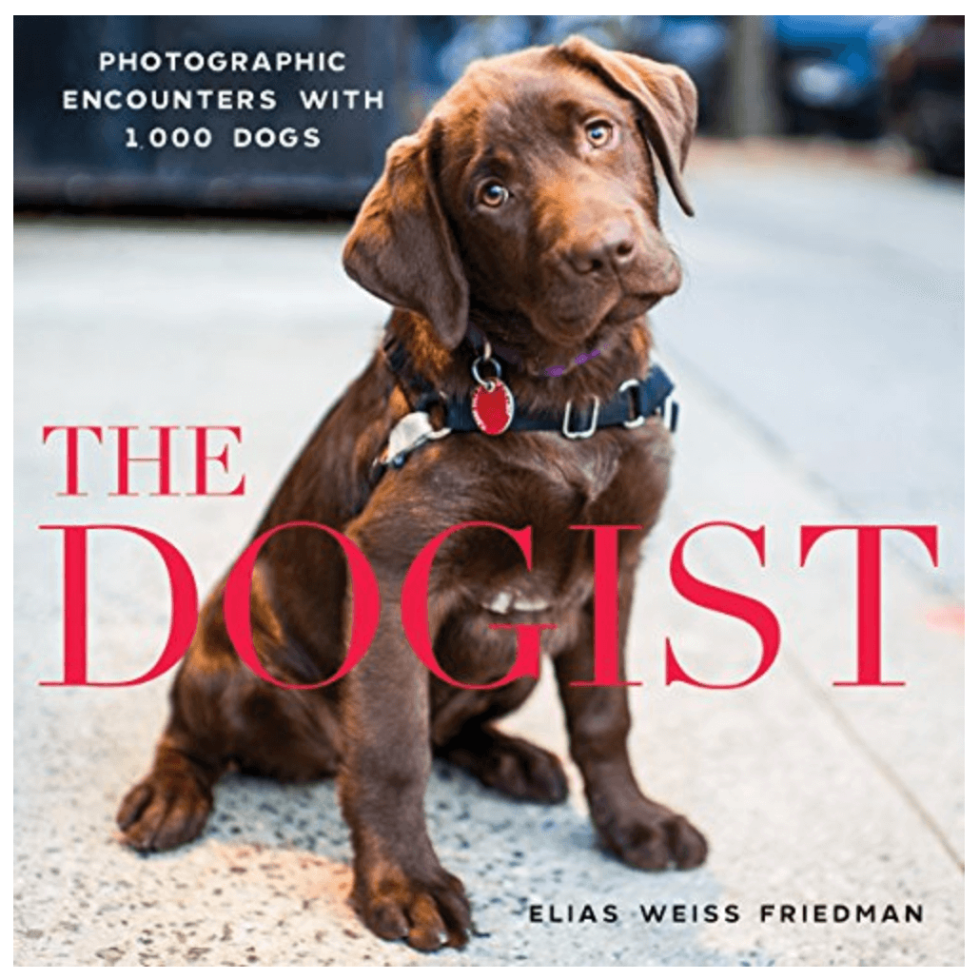 The 10 Best Dog Coffee Table Books You Must Have - Hilarious Hound