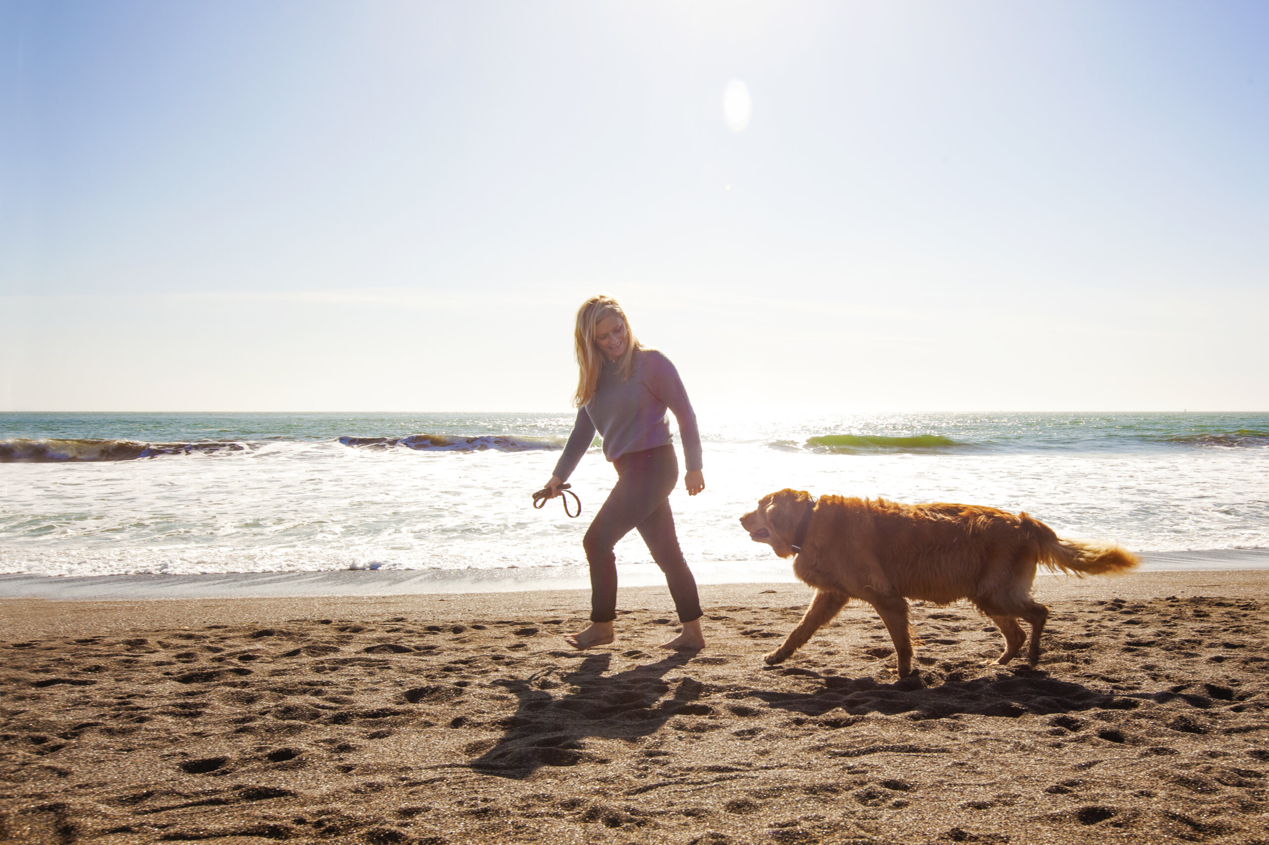 Fitness with your dog bay area pet photography hilarious hound