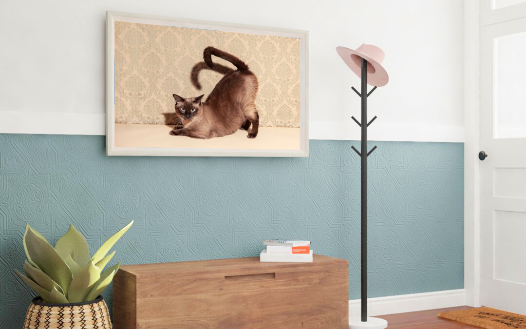 Framed image of cat hanging in the entryway of a home in Chicago