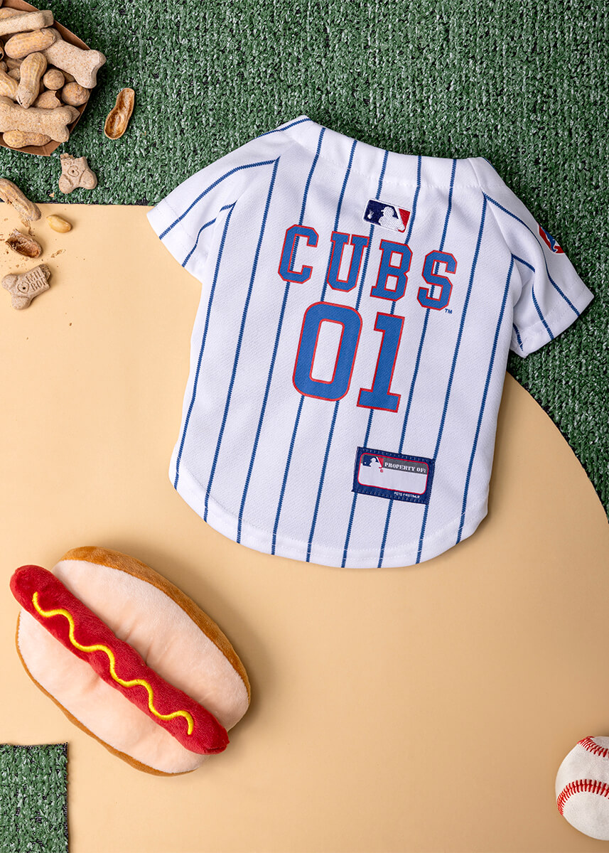 Studio photography lay flat of a dog cub jersey with hotdog squeaker toy and treats