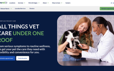 Engineering a National Rebrand: High-Production Veterinary Advertising Photography for LoVet