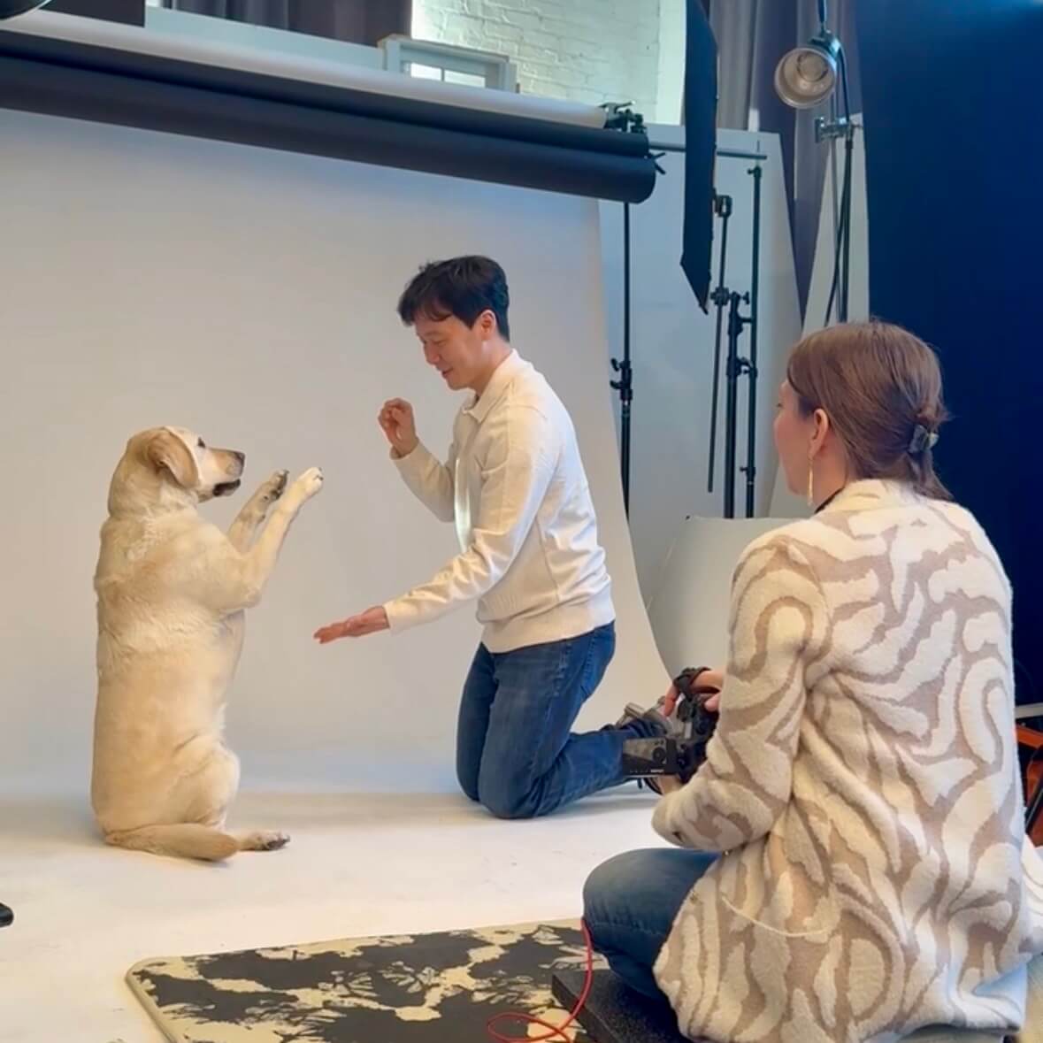 Commercial pet photographer on set in a Chicago studio, dog model against a neutral backdrop giving paw, with lighting gear visible.