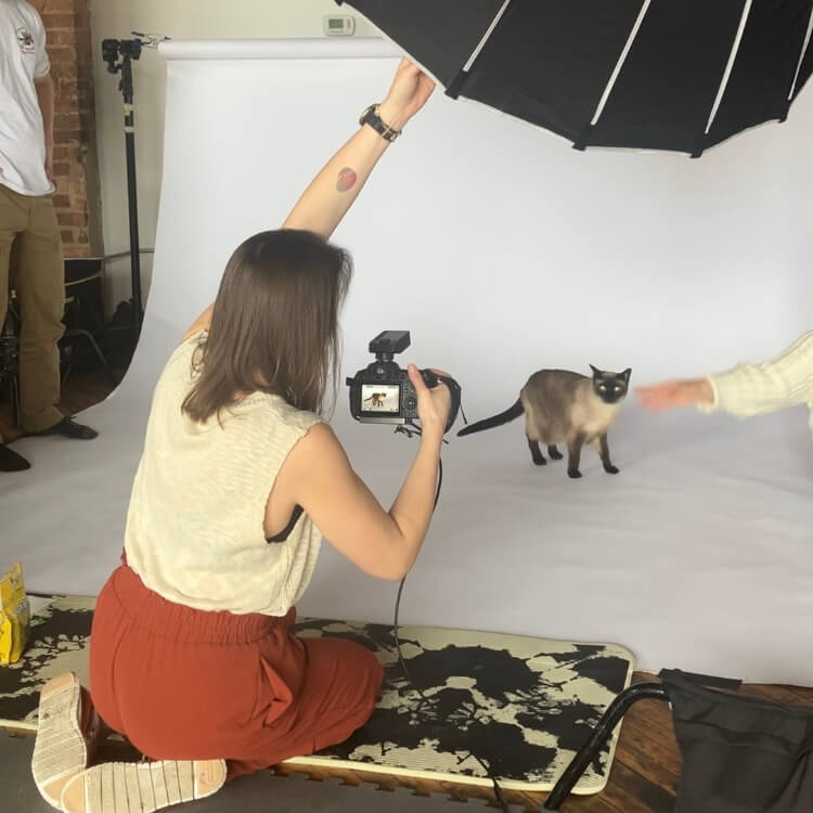 BTS of a Chicago pet photographer shooting a high-end packaging set with a cat waiting in the background.