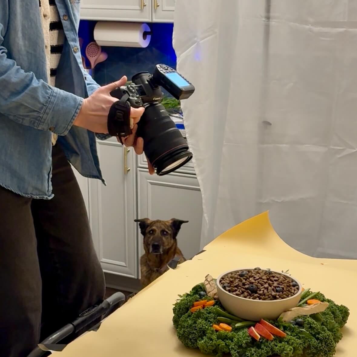 Close-up of a Chicago pet photographer shooting a high-end food styling set with a dog waiting in the background.