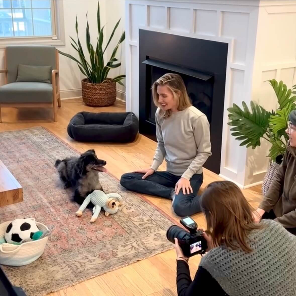 BTS view of a lifestyle pet photography session in Chicago featuring a dog and model in a stylized living room set with professional lighting.