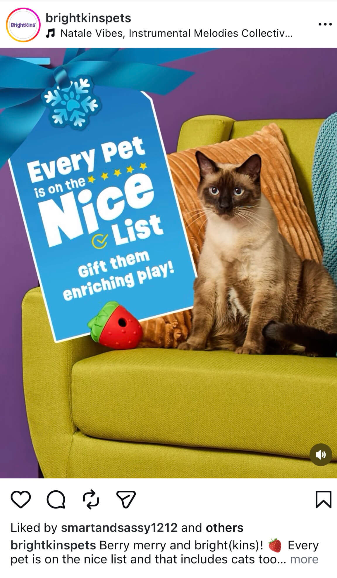 Large-scale custom set design for a national pet product advertising campaign, featuring monochromatic color schemes and precision studio lighting.