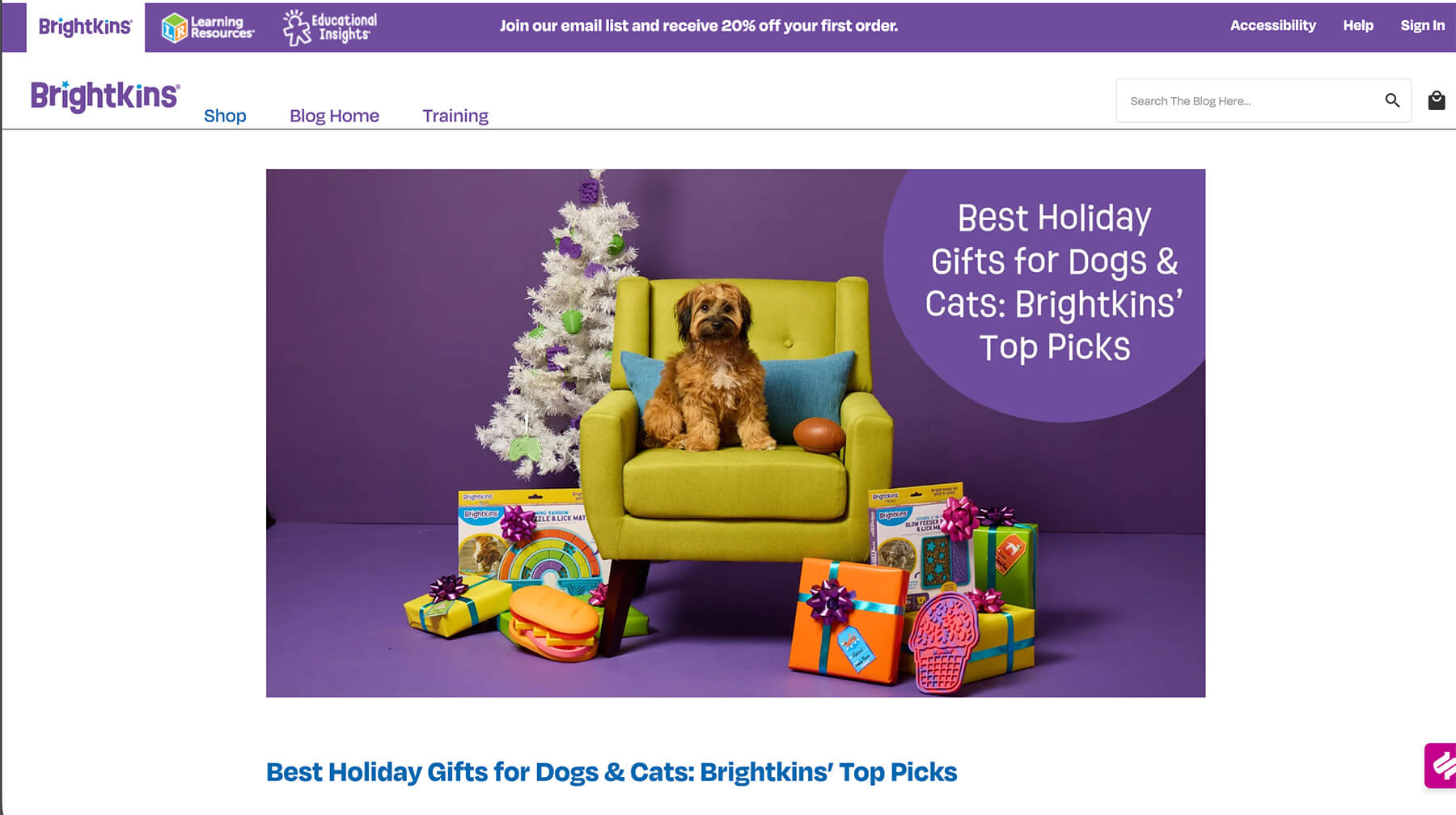 Professional pet product advertising featuring cat and dog talent on an immersive, color-blocked custom studio set.