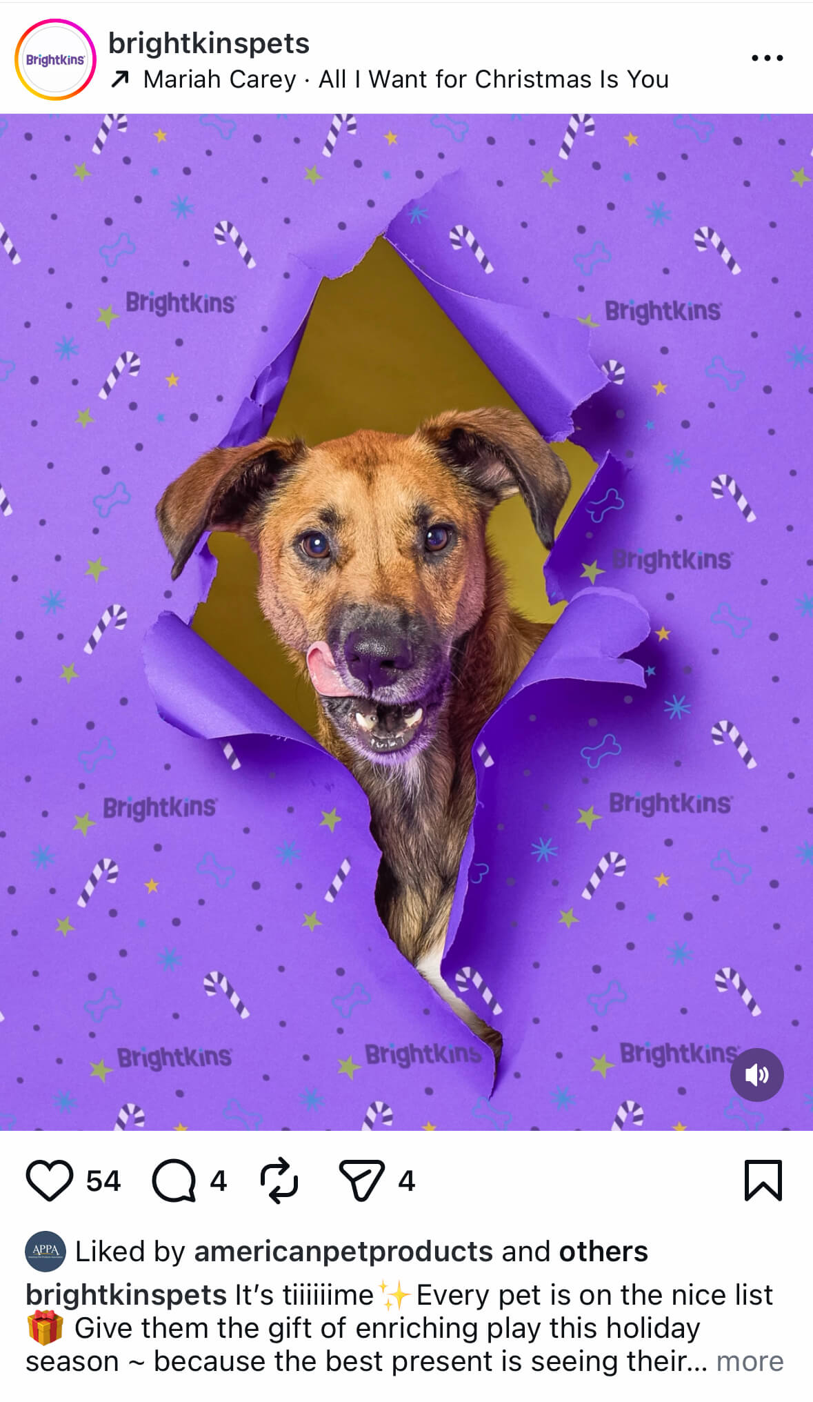 Graphic pet product advertising showcasing stylized set fabrication and whimsical holiday-themed props for brand marketing.
